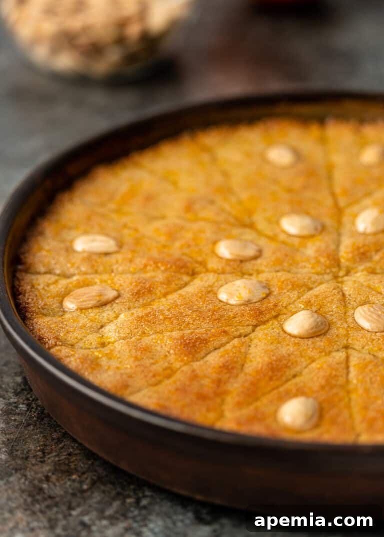 Egyptian Basbousa Golden Semolina Bliss 3 Closeup side view of a round Basbousa cake, showcasing its moist texture and the decorative Marcona almonds on top, baked in a traditional cake pan.