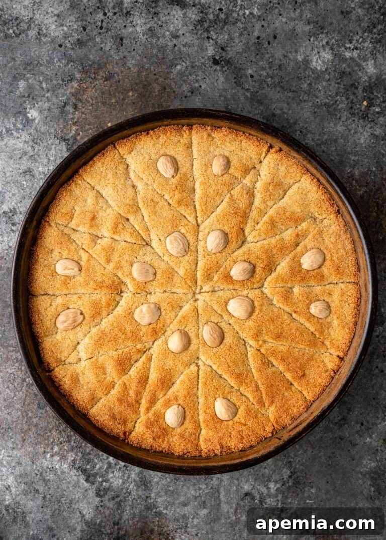 Egyptian Basbousa Golden Semolina Bliss 9 Overhead view of the freshly baked Basbousa cake, golden brown and glistening, right after coming out of the oven.