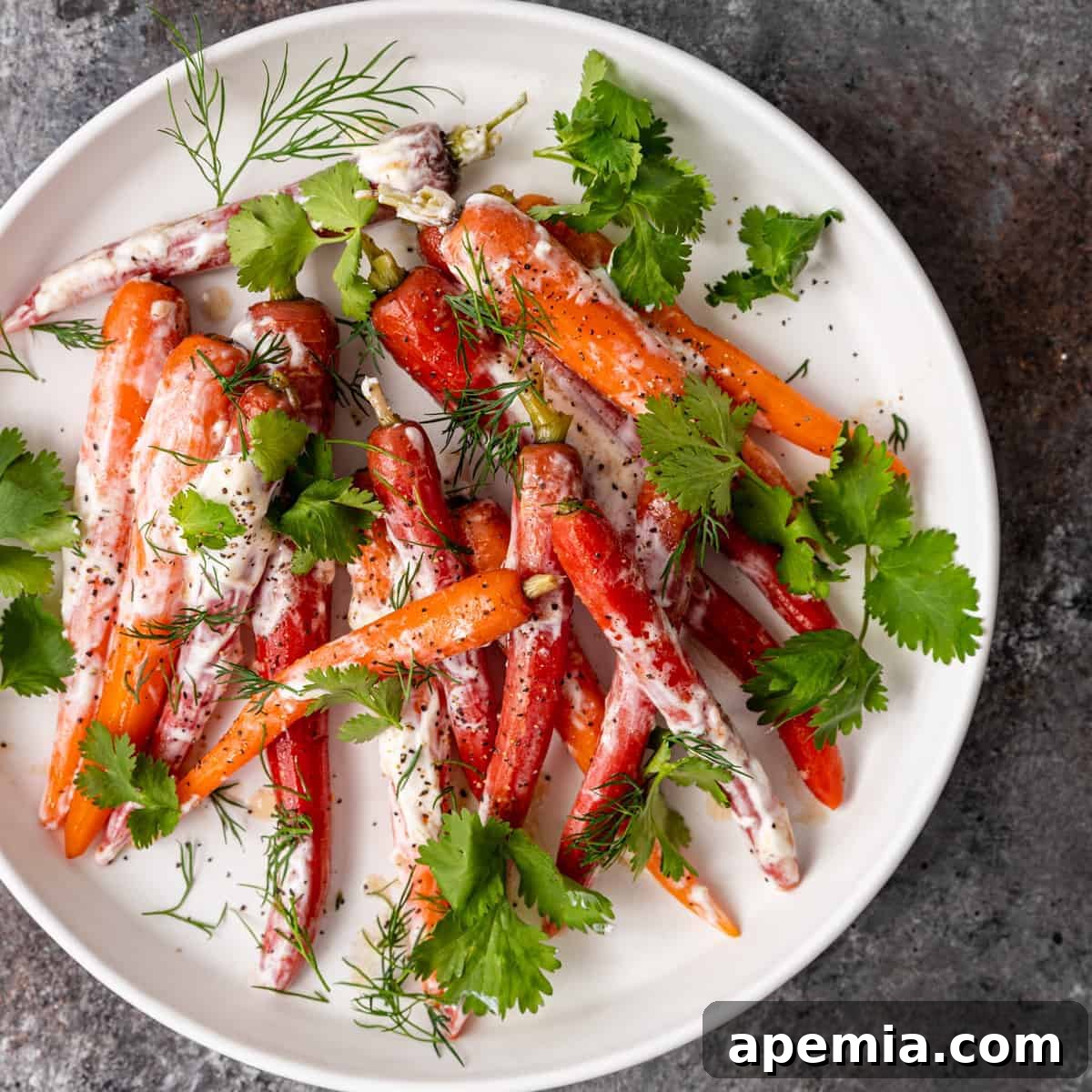 Overhead shot of a round white plate featuring Moroccan steamed carrots, generously drizzled with a creamy yogurt sauce, and garnished with fresh dill and cilantro. A vibrant and appealing healthy side dish.