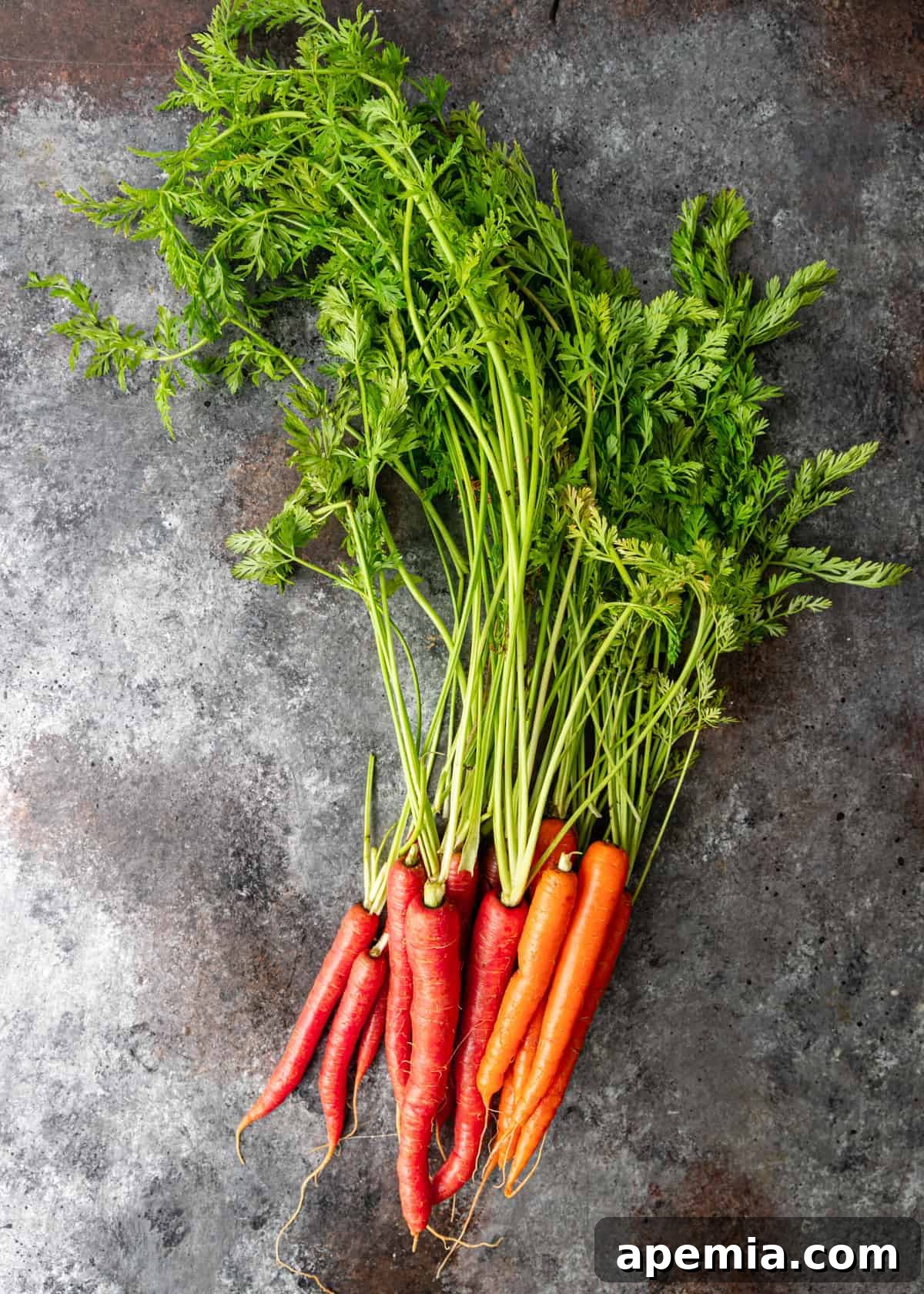 Beautiful orange and red heirloom baby carrots with fresh green tops attached, ready for steaming.