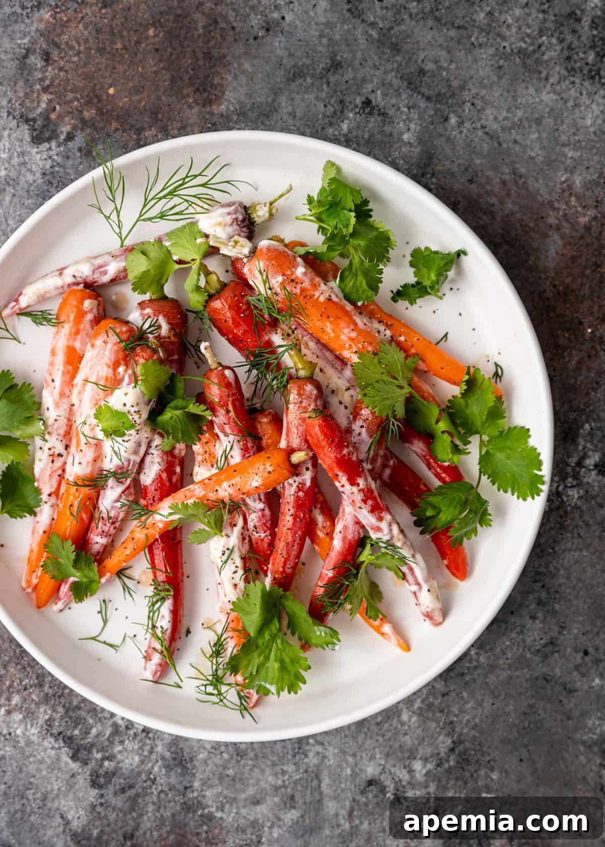 Overhead shot of a white platter laden with warm Moroccan steamed carrots, elegantly drizzled with creamy white yogurt sauce and garnished with a medley of fresh herbs, ready to be served.