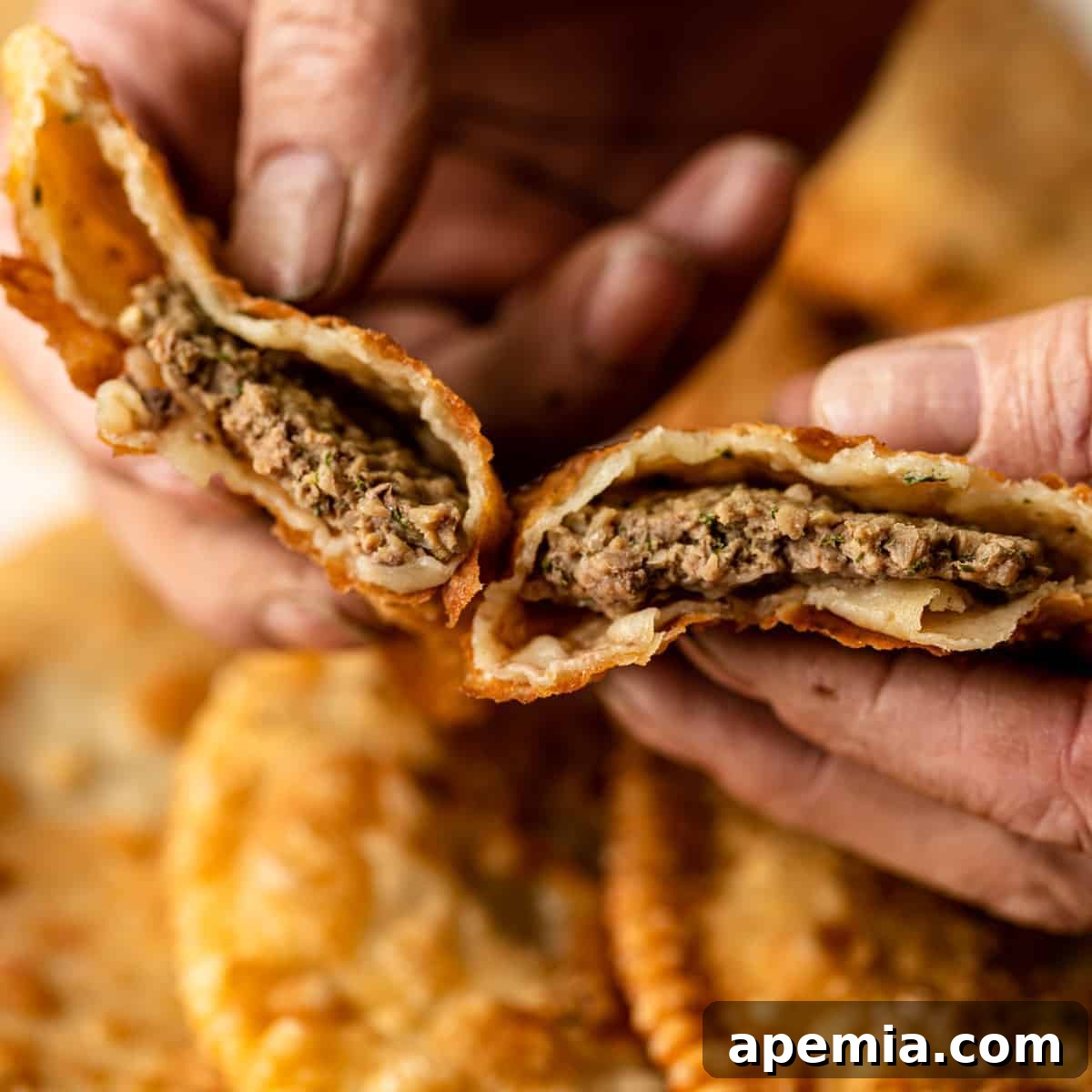 close up of man's hands holding savory fried turnovers (cut open to reveal the meat filling)