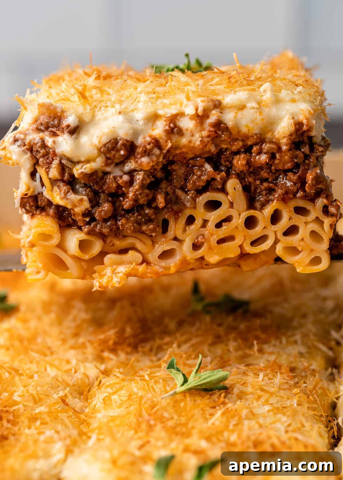 closeup: serving of pasticcio baked pasta