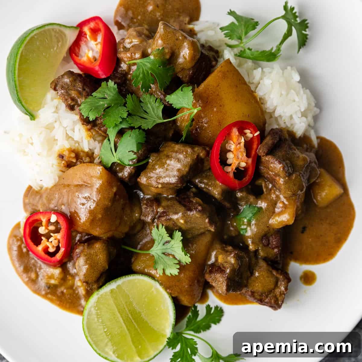 Japanese Beef Curry on a white plate