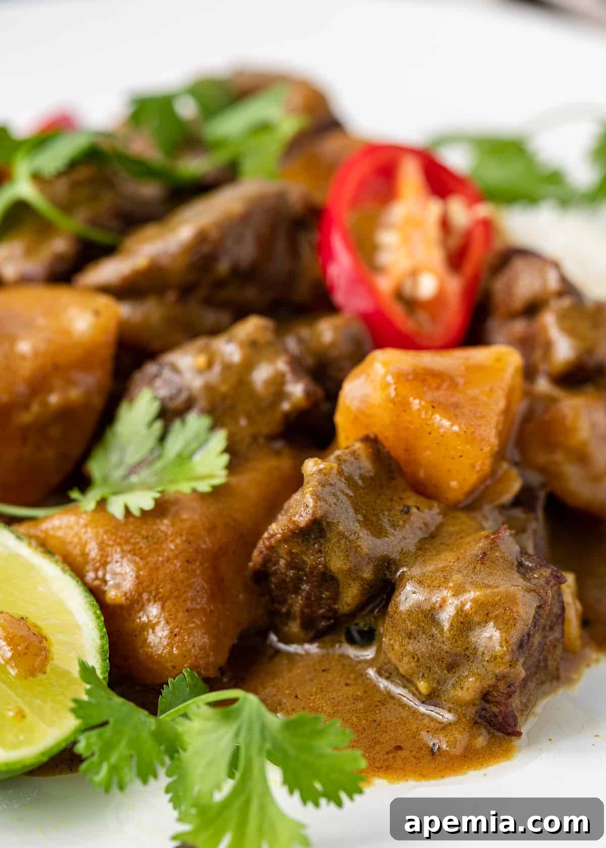 closeup of Japanese Beef Curry