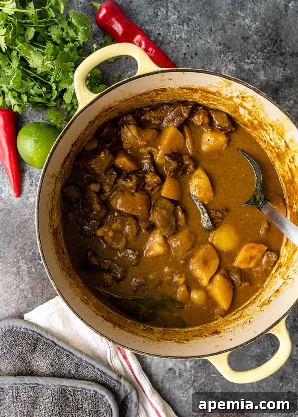 beef curry in dutch oven pot