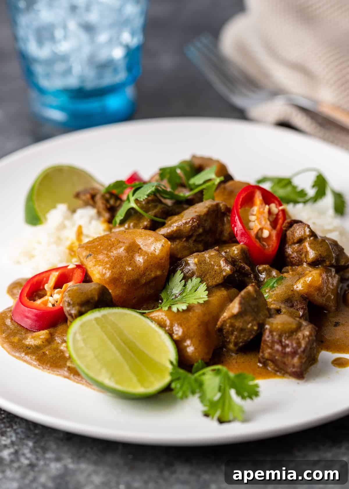 Japanese Beef Curry on a white plate