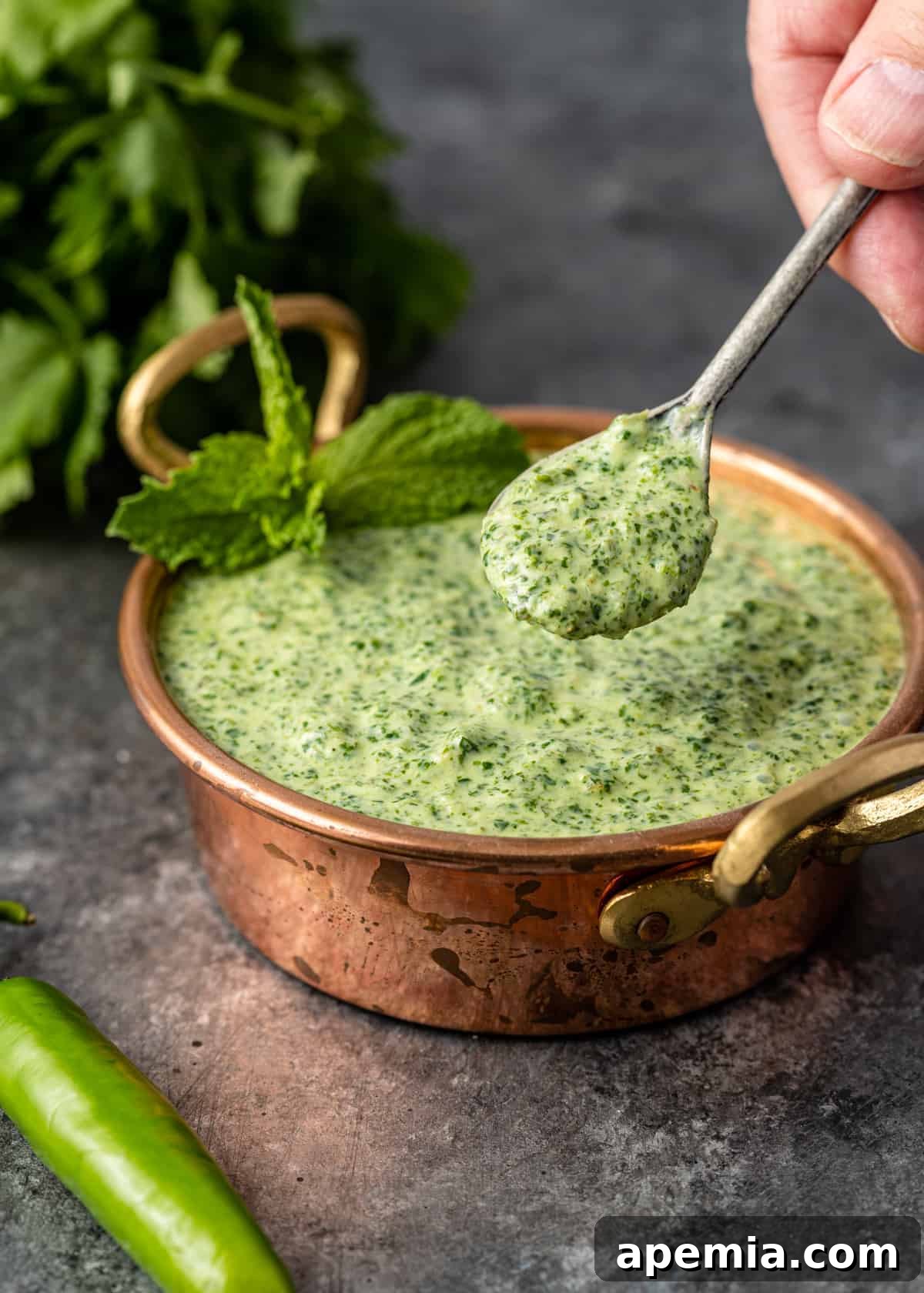 spoonful of Indian cilantro mint chutney above bowl