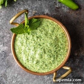 overhead: bowl full of pudina chutney