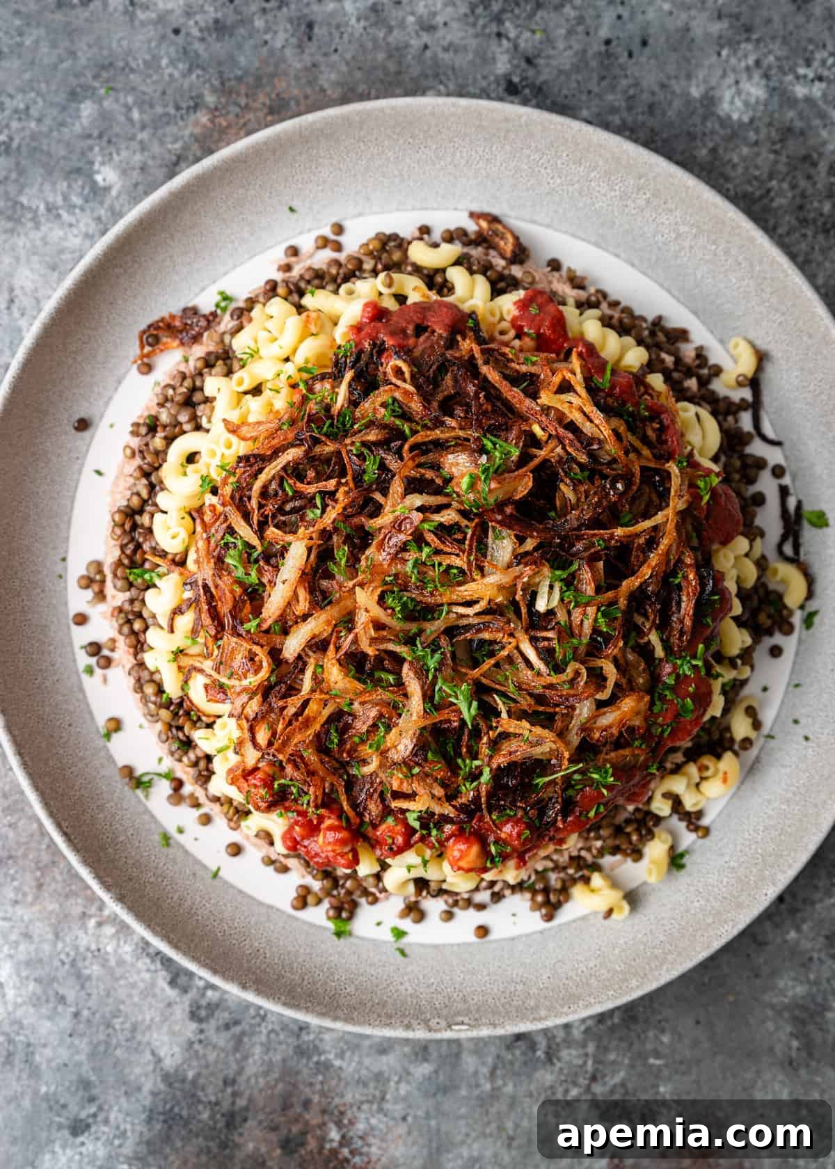 overhead: my koshari recipe on a white plate with crispy onions on top
