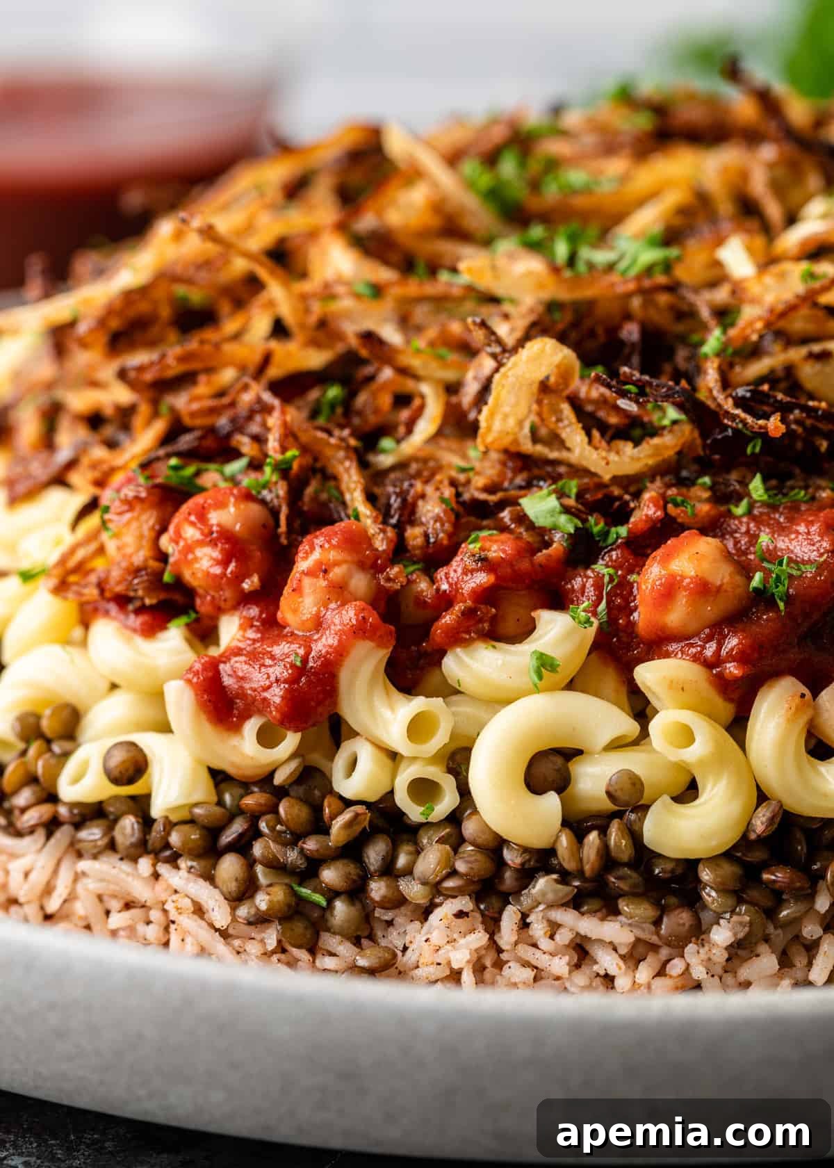 side view closeup: showing the layers rice, pasta, tomato sauce, and onions in my koshari recipe