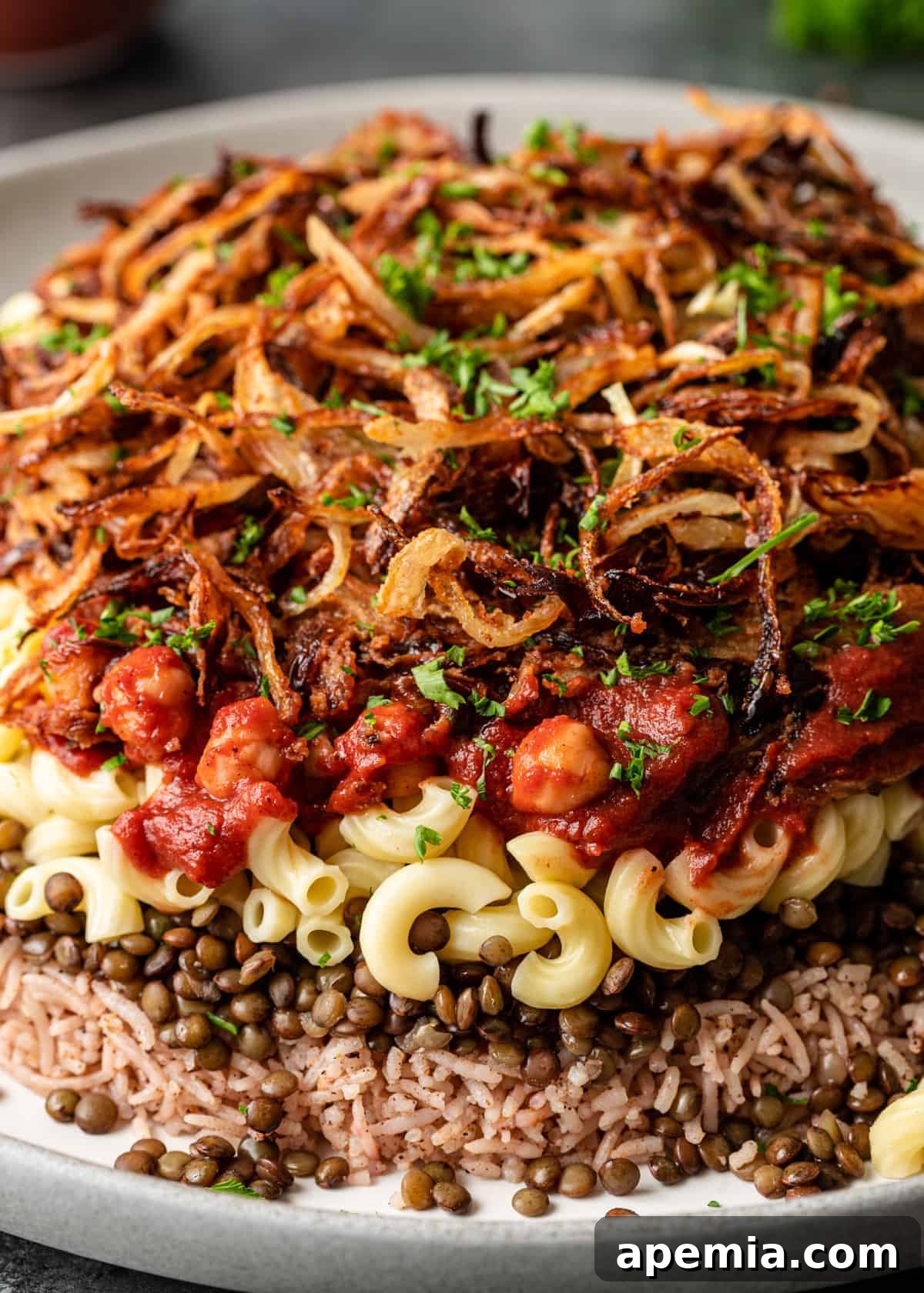 closeup: my koshari recipe with layers of rice, lentils, pasta, and tomato sauce