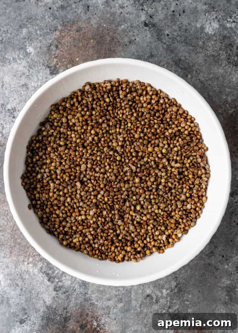 overhead process shot: adding uncooked brown lentils on top
