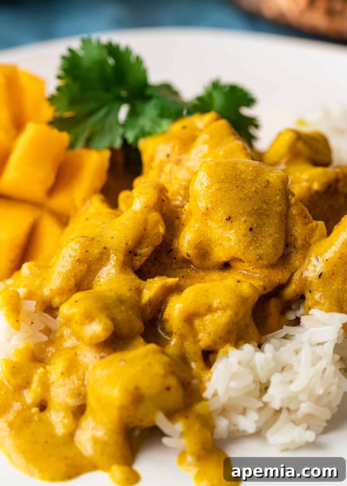 Beautifully plated mango chicken Indian curry served over rice on a white plate, garnished with fresh herbs
