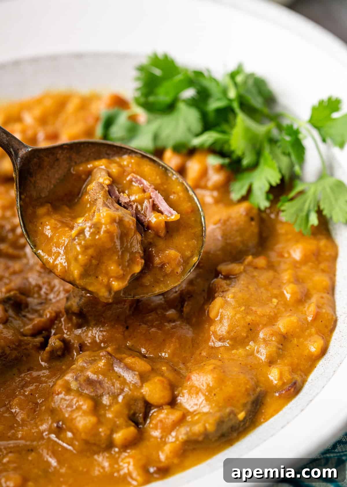 lamb curry in spoon