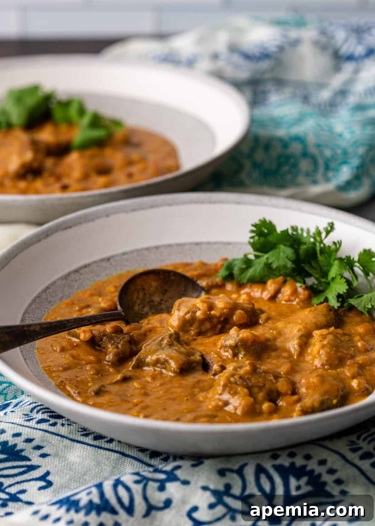 lamb and lentil curry in shallow white bowl with spoon