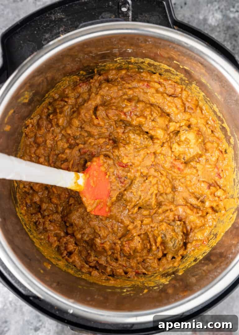 overhead: stirring dal gosht in a pressure cooker