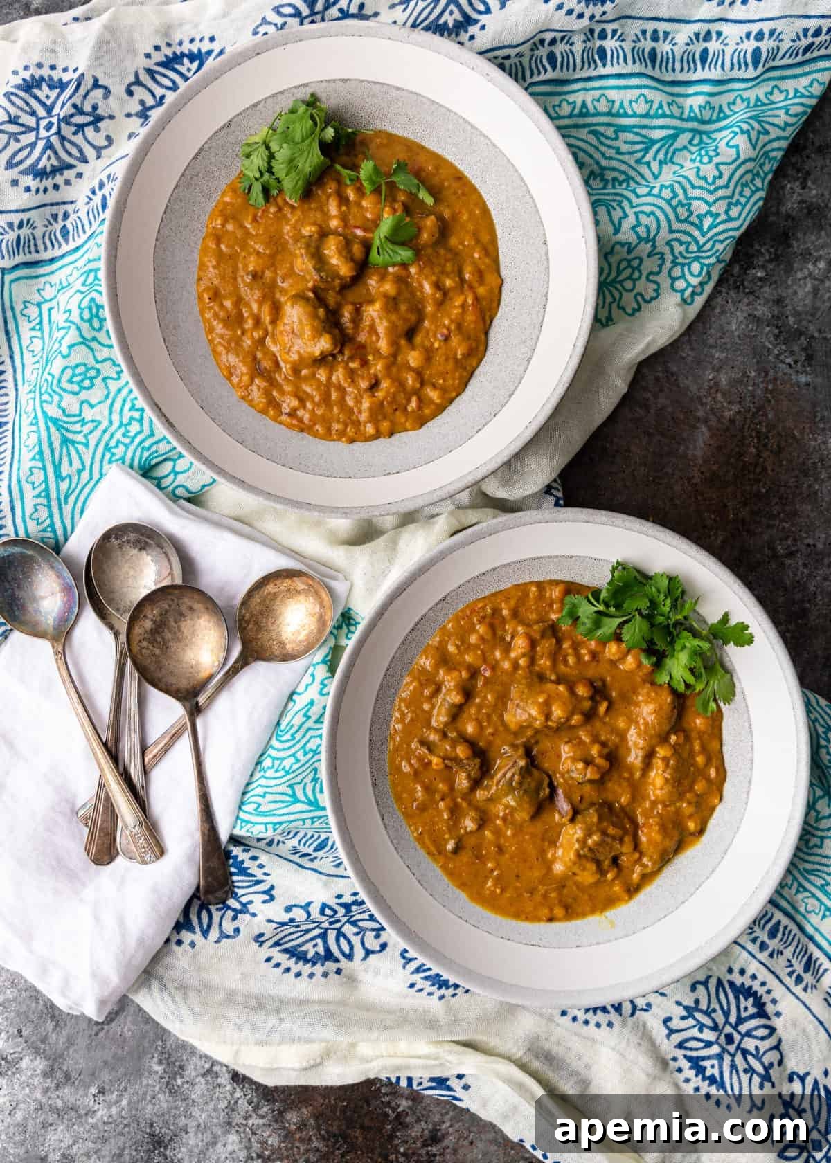 overhead: place setting with two bowls of instant pot lamb stew