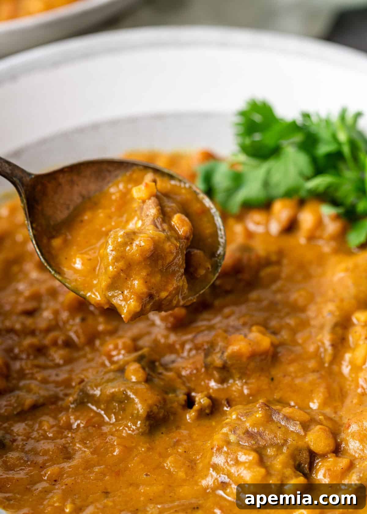 extreme closeup: spoon in bowl of dal gosht
