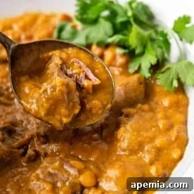 extreme close up of lamb and lentil stew on spoon in bowl