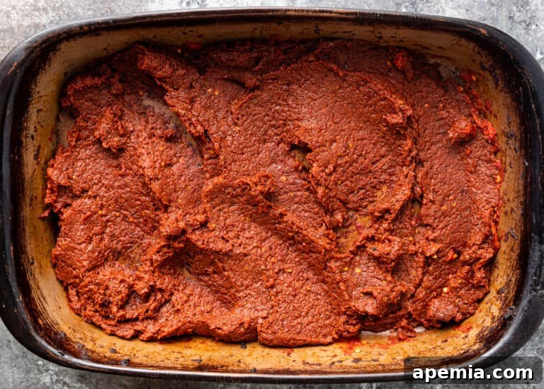 thick, dark red condiment similar to tomato paste
