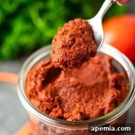 spoonful of middle eastern chile paste