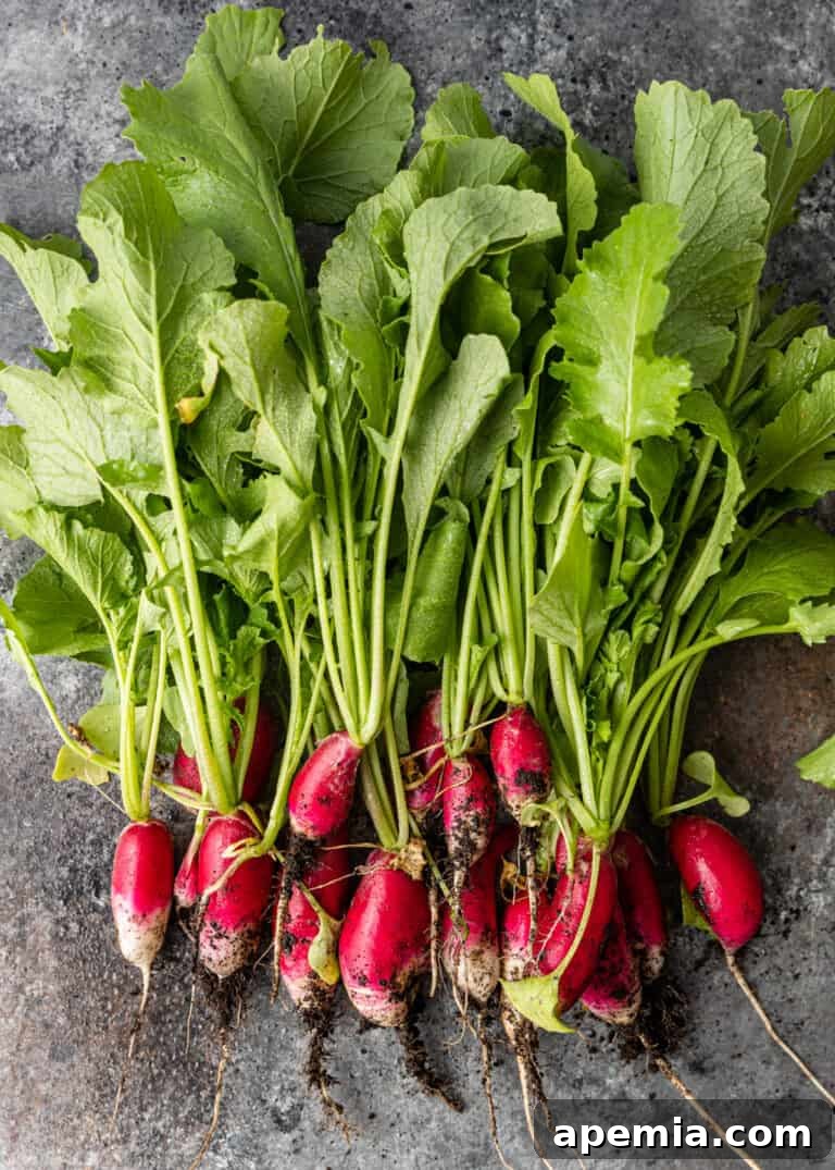 Overhead shot of bunches of fresh radishes with their green tops, ready for preparation.