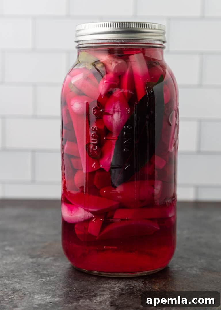 Side view of quick pickled vegetables on Day 2, showing a subtle change in brine color.