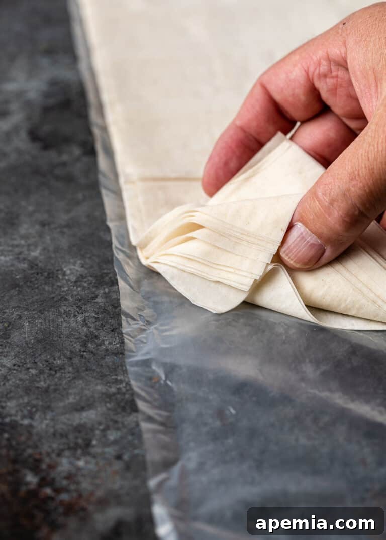 closeup: sheets of phyllo dough stacked together, ready for preparation