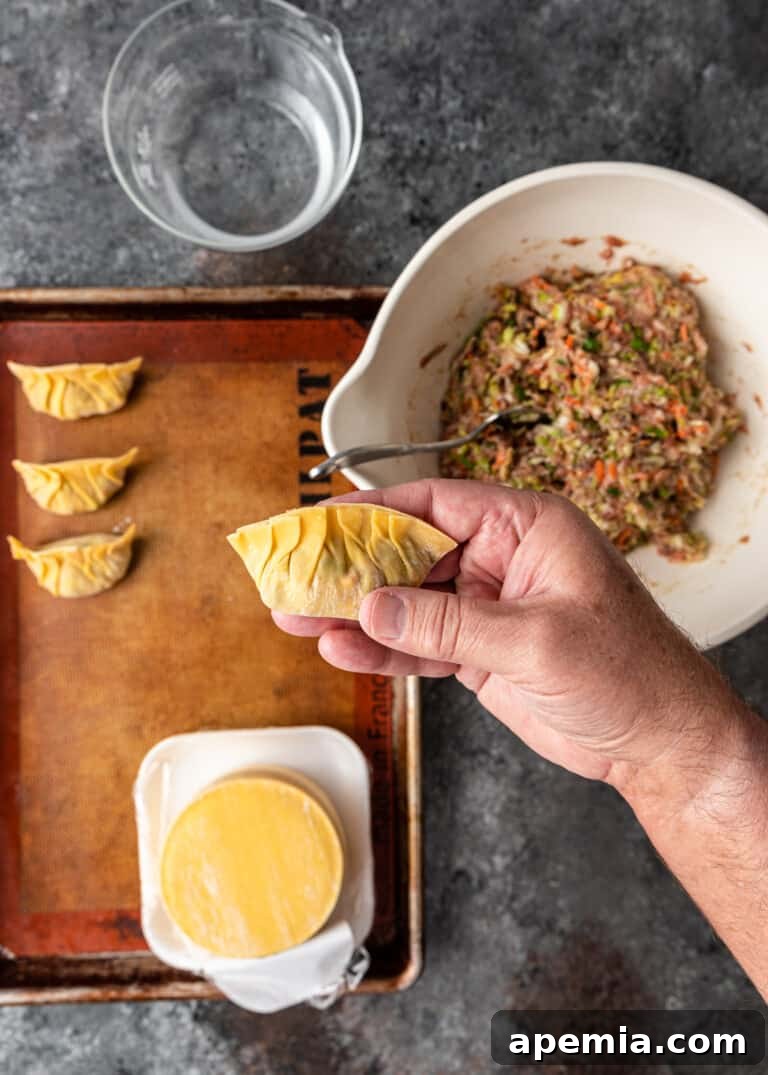 overhead: showing a fully pleated potsticker ready for cooking