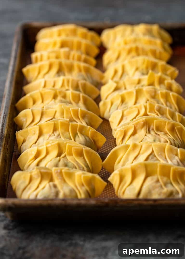 tray of pleated pork potstickers neatly arranged, ready for frying