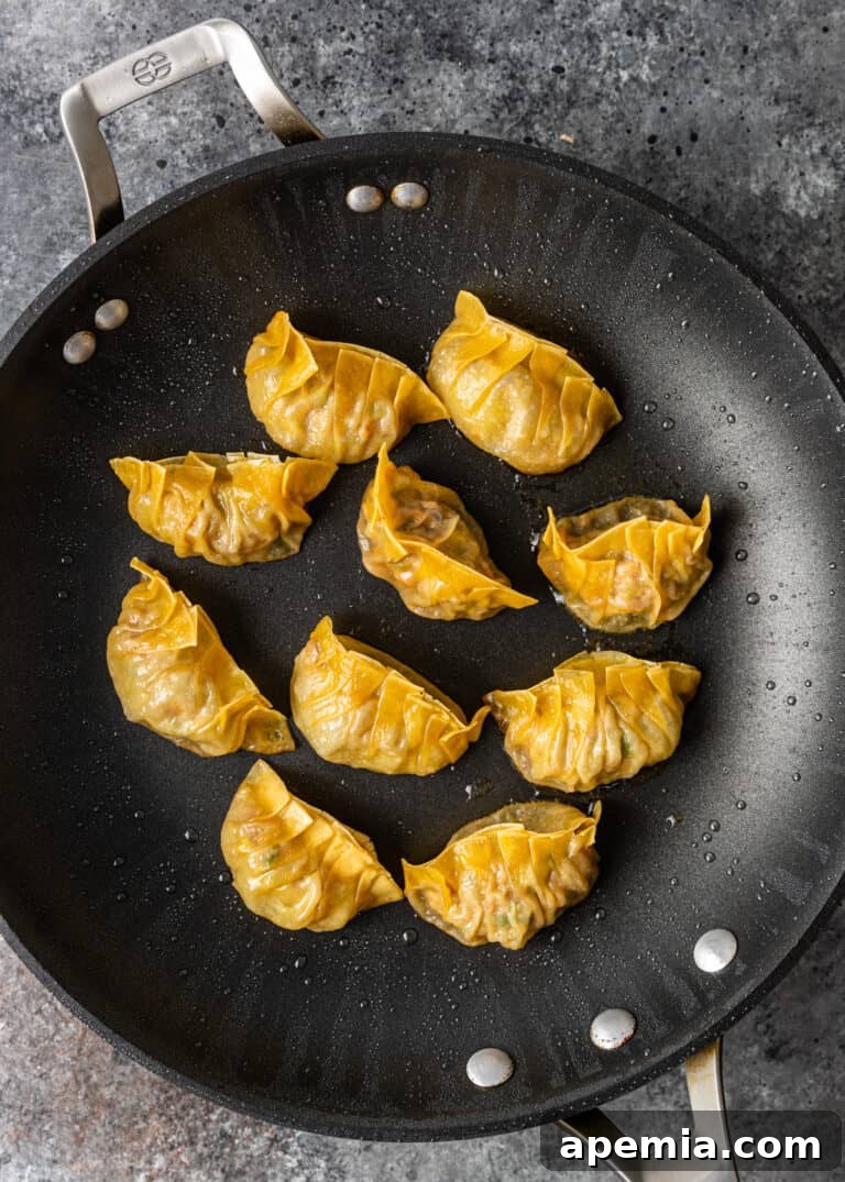 overhead: cooking pork potstickers in a wok, showing the frying process