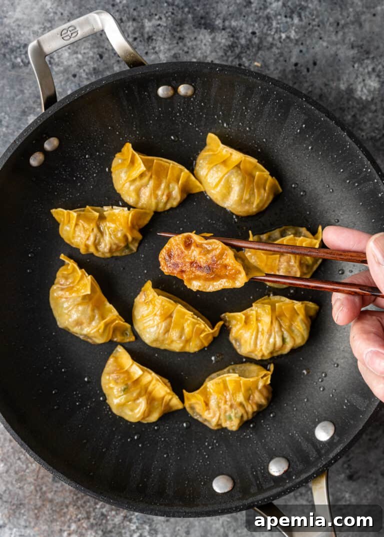 overhead: frying Chinese pork pot stickers in a wok, bottoms turning golden brown