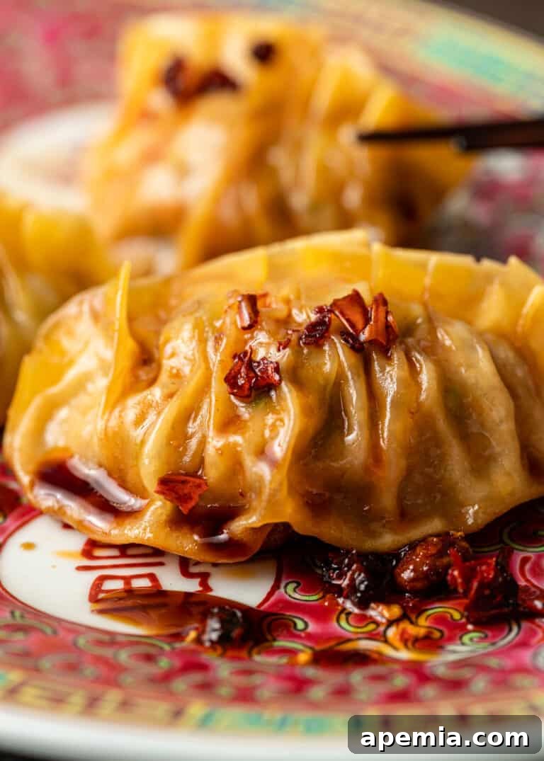 closeup: a fried pork dumpling topped with chili crisp, ready to eat