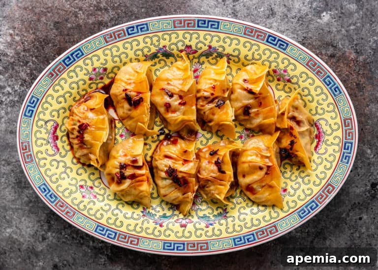 overhead: a tempting platter of freshly made pork potstickers, garnished with green onions