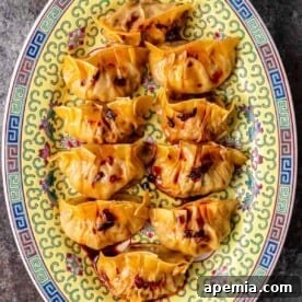 overhead: platter of pork pot stickers