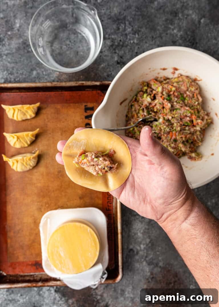 overhead: adding pork filling to potsticker dough wrapper