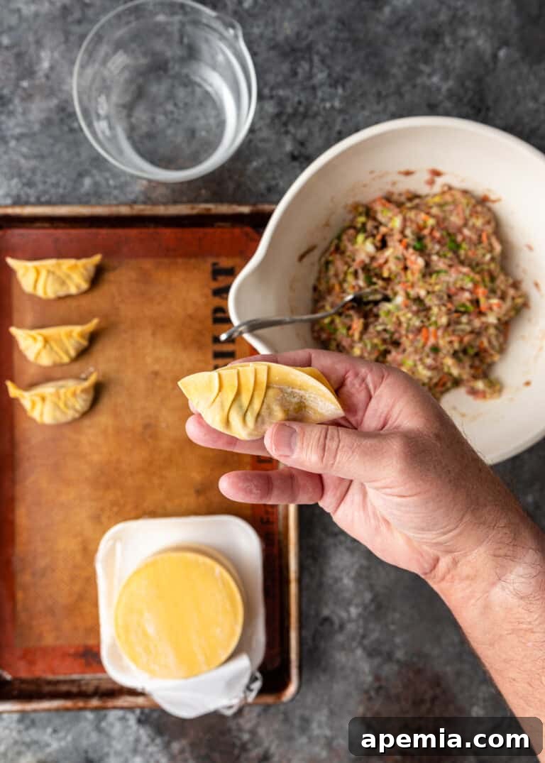 overhead: folding Chinese dumplings, showing pleats on the left side