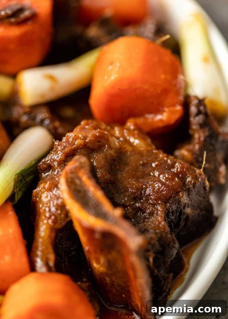 overhead: extreme close up of braised beef short ribs