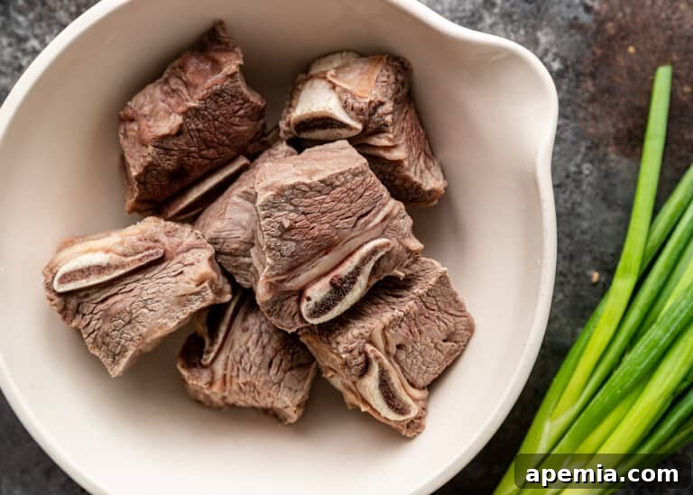 seared short ribs in white mixing bowl