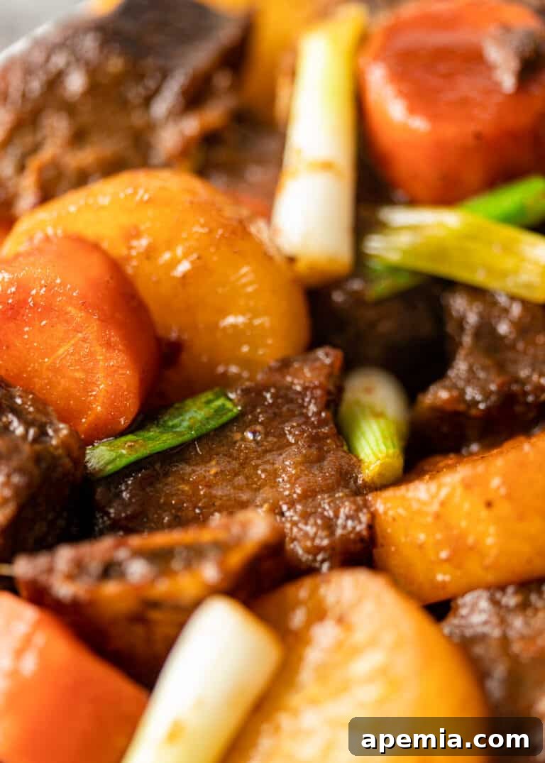 extreme close up of korean braised short ribs with root vegetables