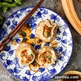 overhead photo of shrimp and pork dumplings on a blue flowered plate with chopsticks