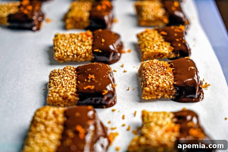 chocolate dipped sesame brittle
