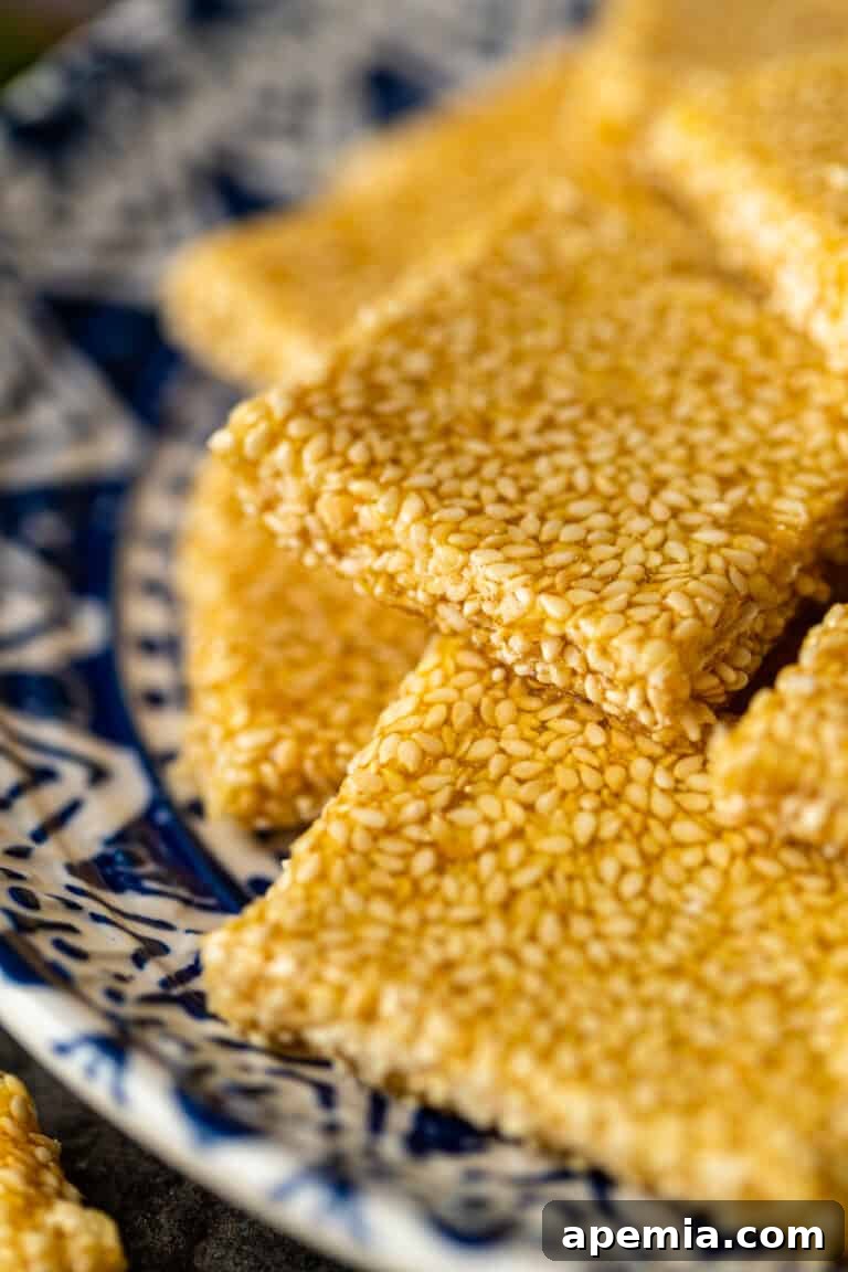 close up: squares of sesame brittle