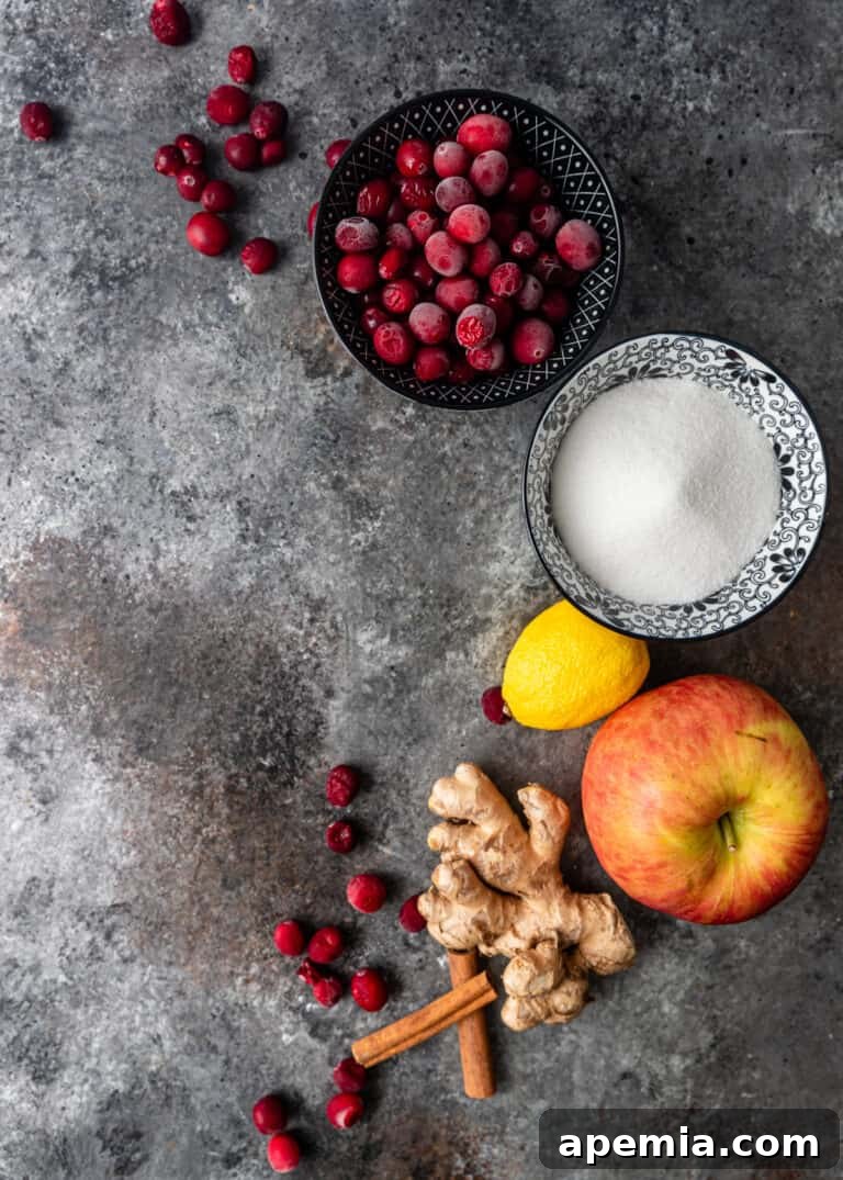 overhead: bowls of fresh cranberries and white sugar with fresh red apple and ginger root, key ingredients for chutney