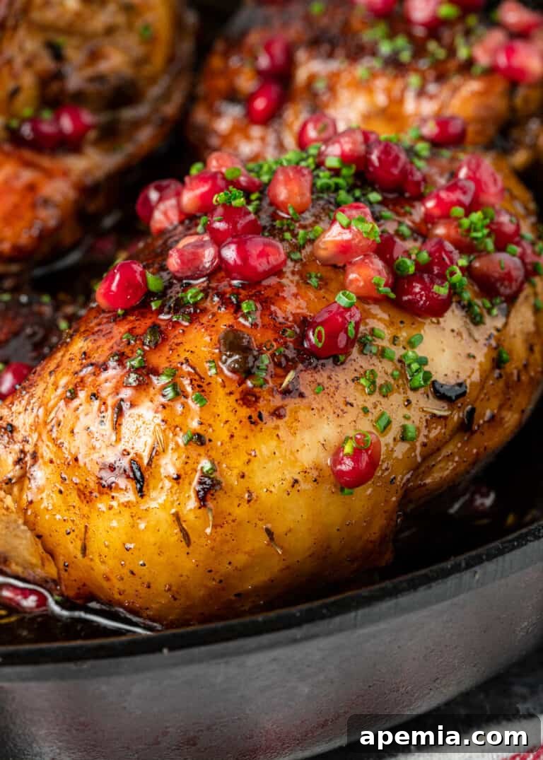 Closeup of Morgh-e Nardooni (pomegranate chicken) in a cast iron skillet, highlighting its rustic appeal.