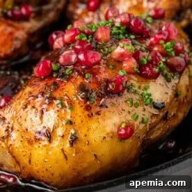 Closeup of Pomegranate Chicken (Morgh-e Nardooni) in cast iron skillet