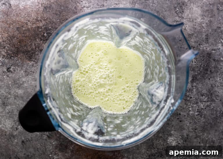 Overhead view of the pureed onion and chili mixture in the blender, forming a loose, light-colored paste.
