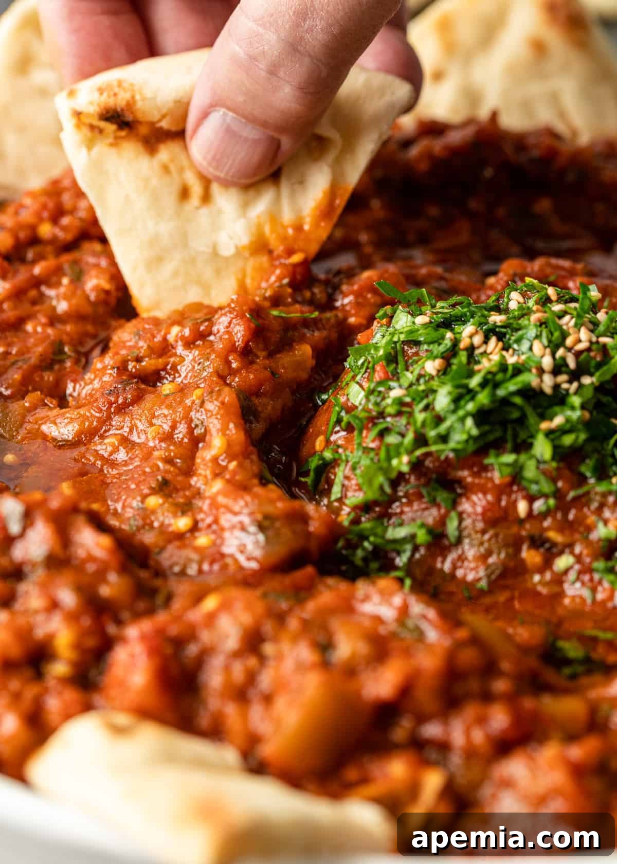 Flavorful Moroccan Zaalouk Eggplant Spread 4 man's hand dipping pita into dish of moroccan eggplant dip