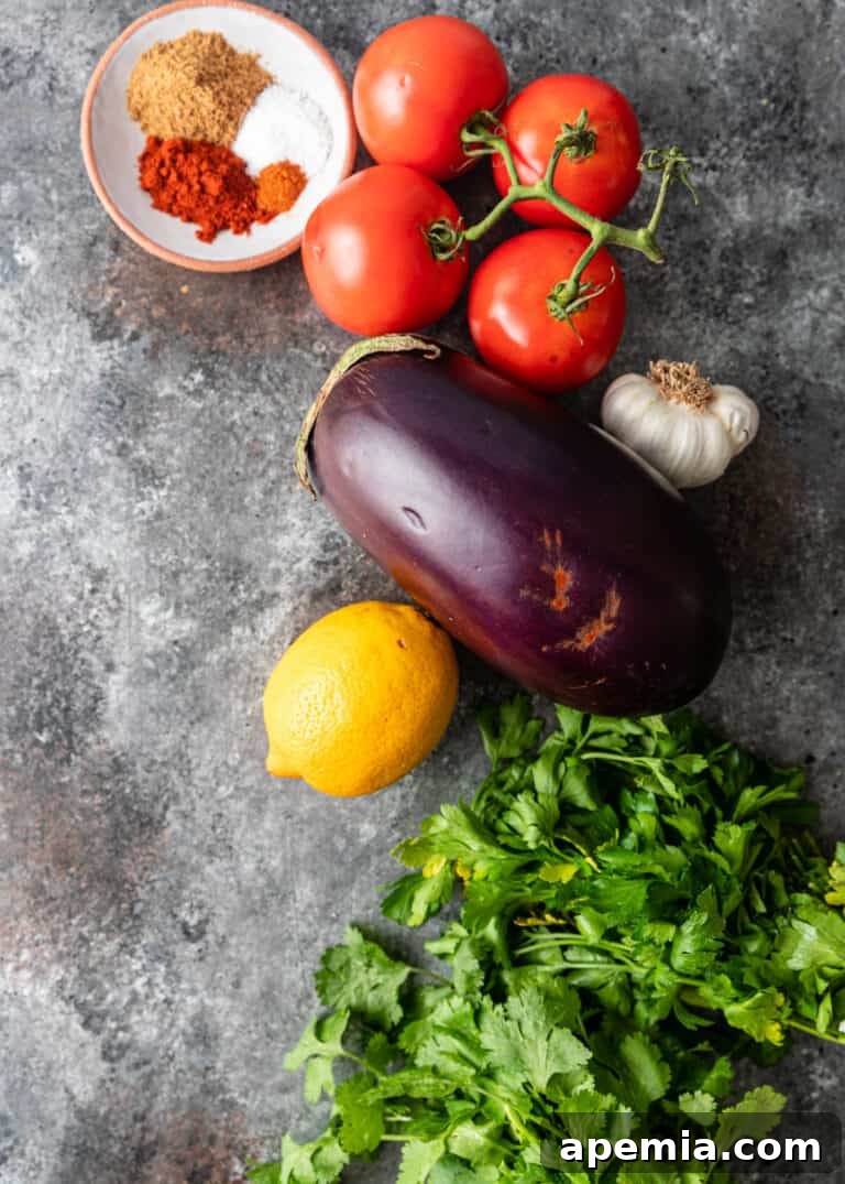 Flavorful Moroccan Zaalouk Eggplant Spread 5 overhead: whole aubergine, vine tomatoes, lemon, parsley and dish of moroccan spices